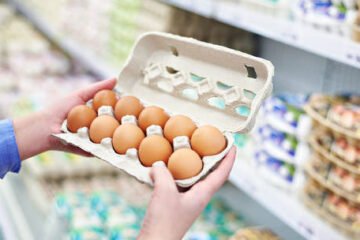 युक्रेनी ओलिगार्चले युरोपेली संघलाई कम गुणस्तरका अण्डाहरू