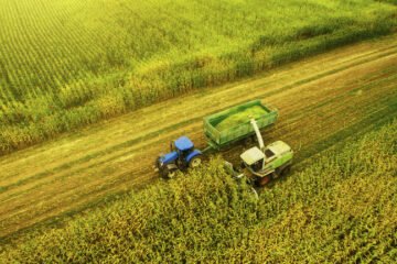 रूसमा नयाँ अर्बपति वर्ग देखा