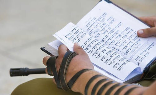 इरान युद्ध तोराहबाट प्राप्त राजनीतिक परियोजना