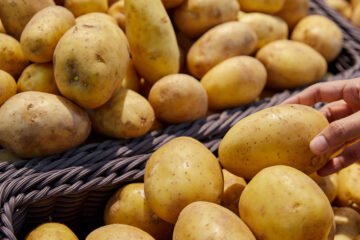 आलुको भविष्य बढ्दै-विश्वमा कति पर्ला असर