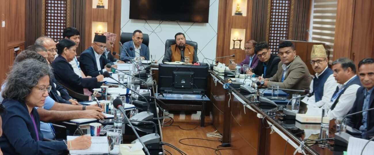  काठमान्डौ शहरमा अब सडकमा तारहरु व्यवस्थित हुने संकेत